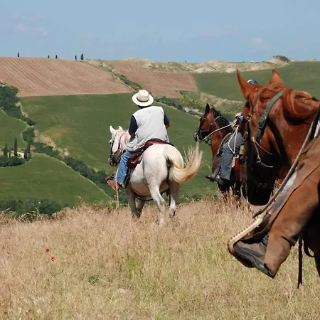 Modern & Strategic Siena