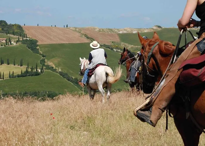 Modern & Strategic Сієна